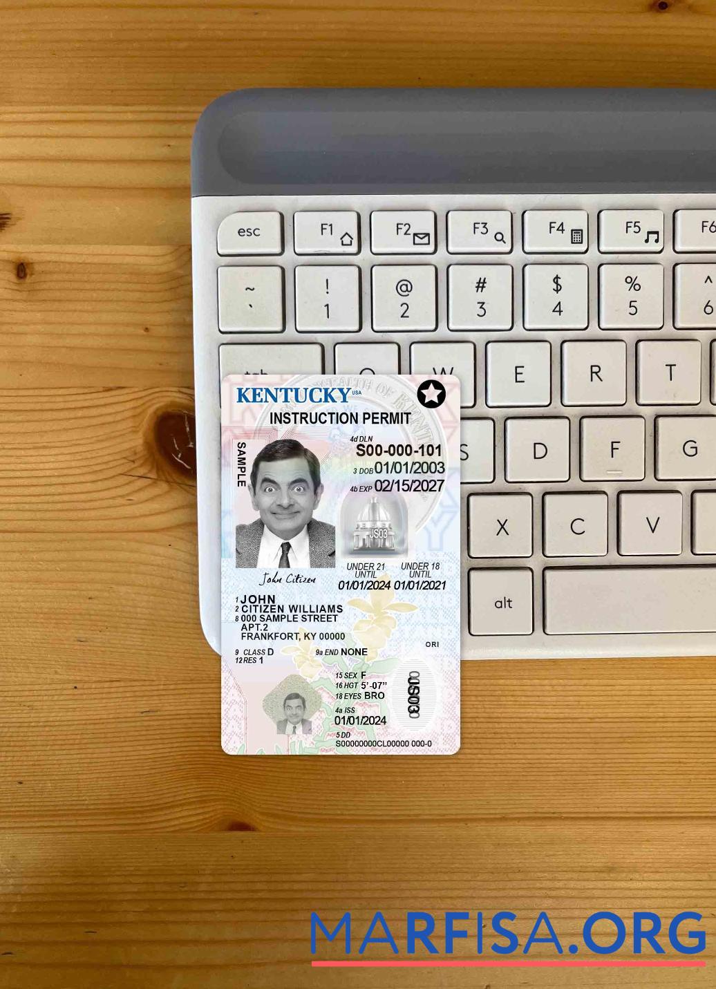 Blank USA Kentucky driving license under 21 photolook sample